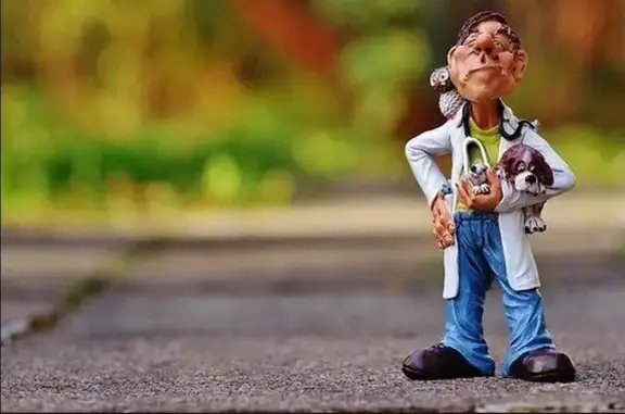 Биовет, ветеринарный центр