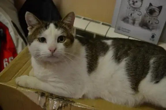 Ветеринарная клиника доктора Маркова