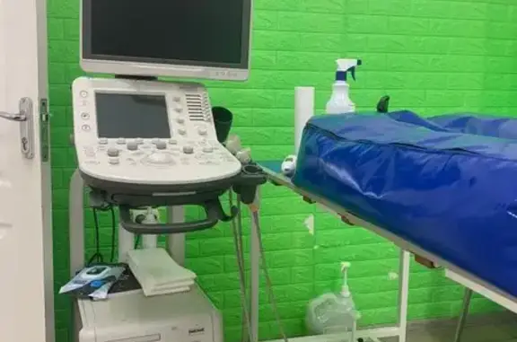 Стрега, ветеринарная клиника