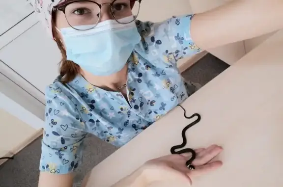 Ветеринарная клиника Евровет на улице Орджоникидзе