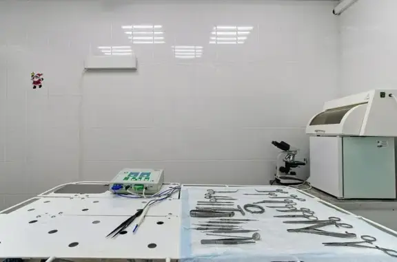 Вет Глобал, сеть ветклиник