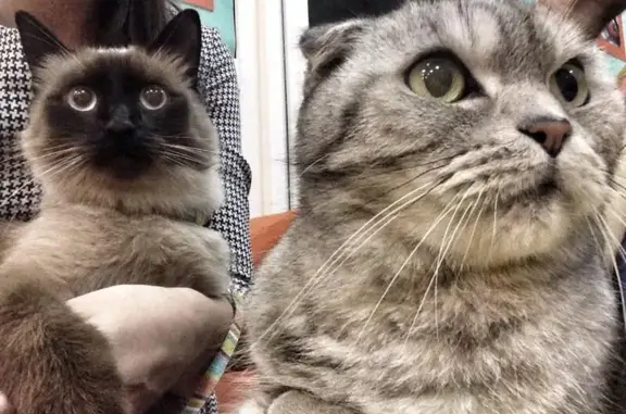 Эсперанс, ветеринарный центр