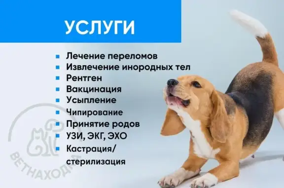 Ветеринарная служба Ветнаходка в посёлке Шушары