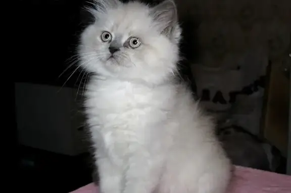 ZooДоктор, служба ветеринарной помощи