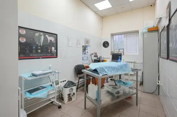 Друг, ветеринарная клиника