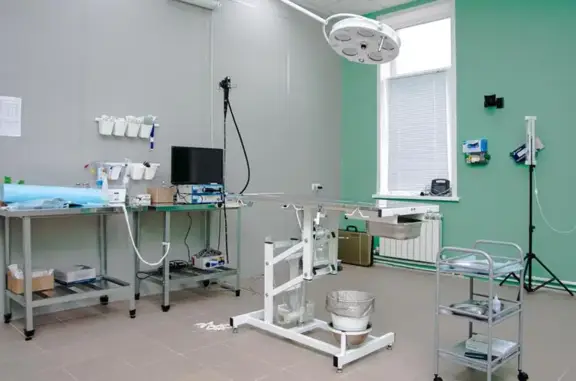 Ветеринарная клиника Альтаир на Московской улице, 30а