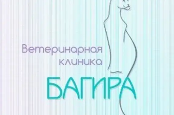 Багира, ветеринарная клиника