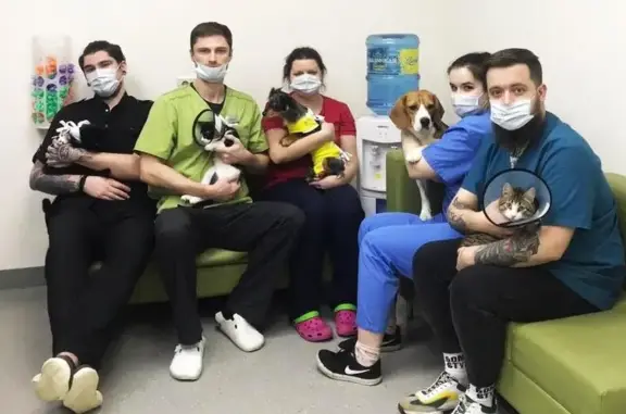 Ветус, ветеринарный центр