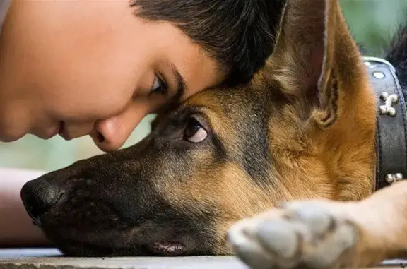 Выездная ветеринарная служба Доктор-Вет на Балтийской улице, 63