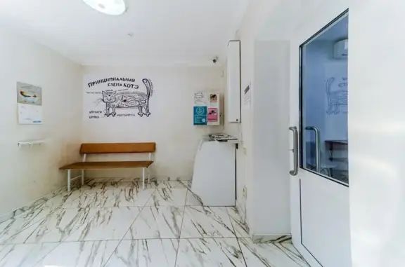 Ветеринарная клиника ИП Киктенко Н.А. в Пятигорске