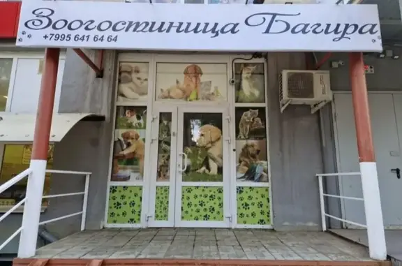 Гостиница для животных Багира