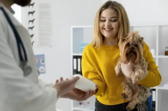 Ветеринарная клиника «Любимчик» на Каширском шоссе