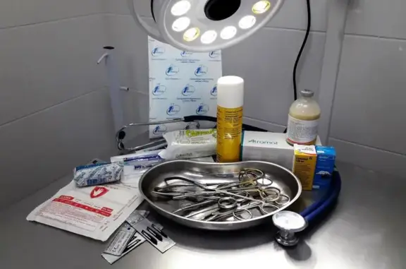 ВетЭра, ветеринарная клиника