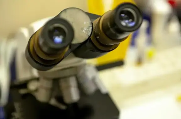 Optima, ветеринарная клиника