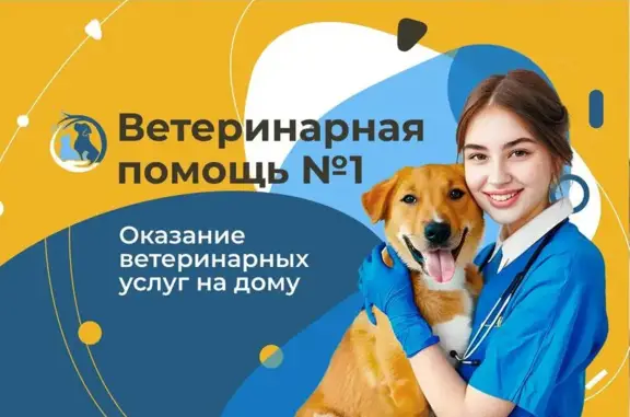 Выездная ветеринарная служба Zoovet-home на Революционном проспекте в Подольске