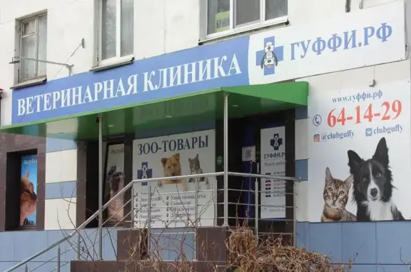 ГУФФИ, ветеринарная клиника