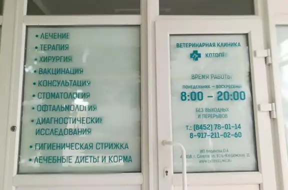 Котопёс, ветеринарная клиника