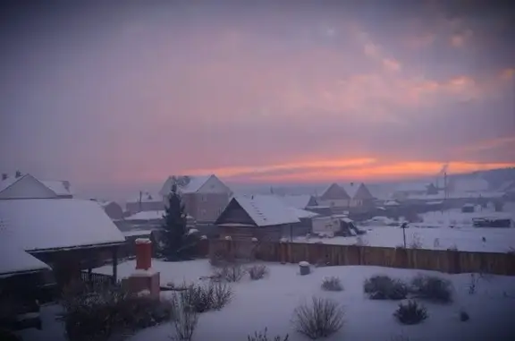 Центр ритуальных услуг для животных Ветритуалсервис