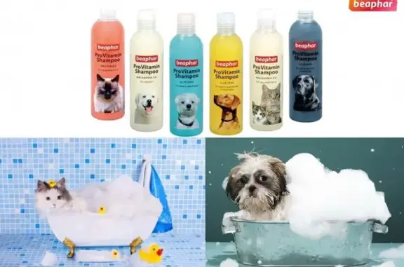 Ветеринарная клиника Кот и пёс в Октябрьском районе