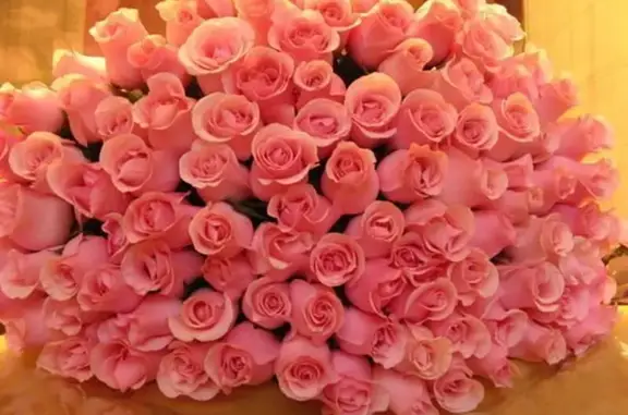 Зоомагазин Усадьба Зверюшкино в Центральном районе