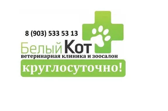 Белый кот, ветеринарная клиника