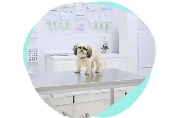 Барсель, ветклиника