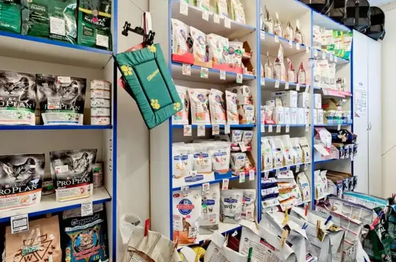 Ветеринарная клиника Котёнок Гав на метро Ленинский проспект