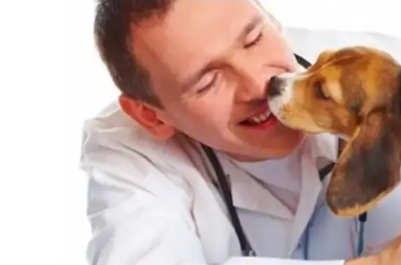 Ветеринарная клиника № 1