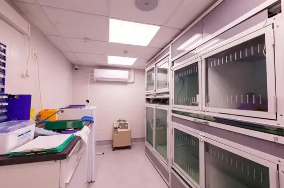 Четыре Лапы, сеть ветеринарных процедурных кабинетов