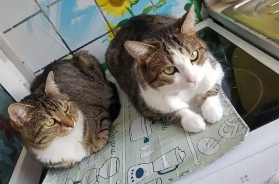 Зоогостиница Мадагаскар