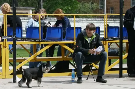 Псковский областной клуб служебного декоративного собаководства