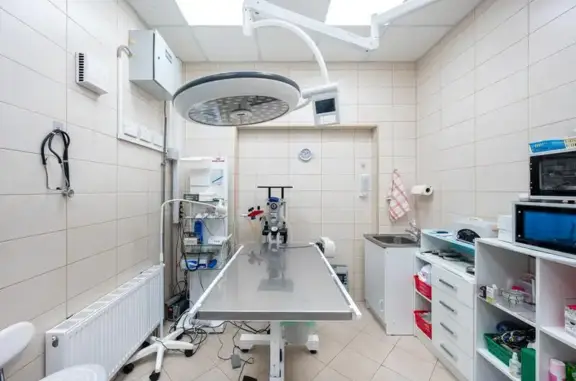 Друг, ветеринарная клиника