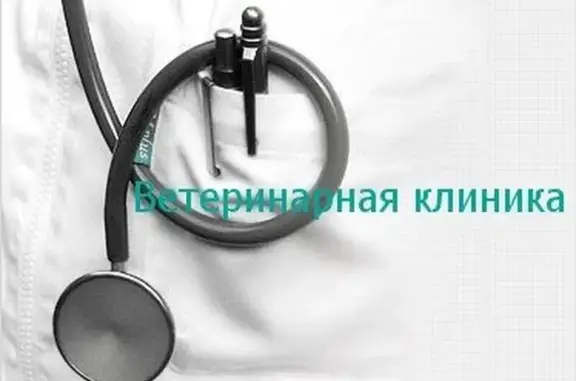 Доктор Вет, ветеринарный кабинет