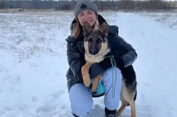 Профессиональная школа дрессировки собак Akita Dog School на улице Салавата Юлаева