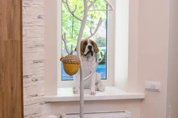 Моя любовь, ветеринарная клиника