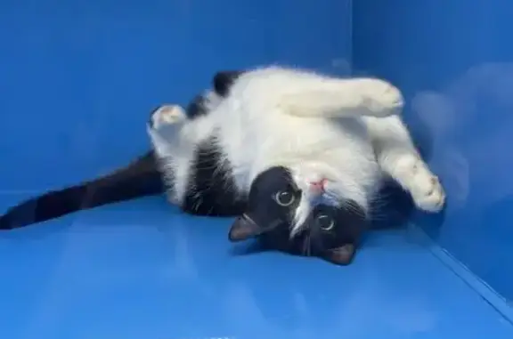 ВИТАГЕН, ветеринарный центр