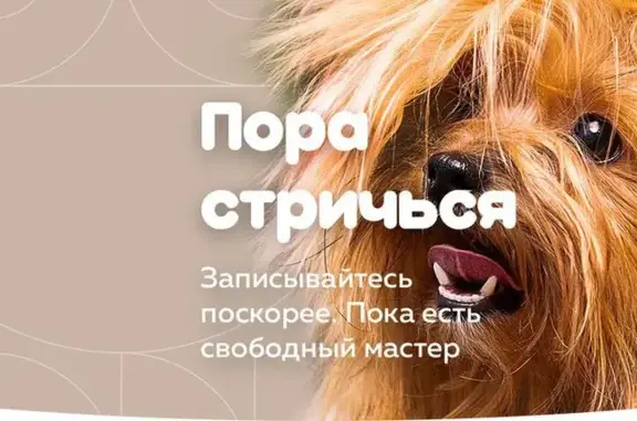 Зоопарикмахерская ГрумЛюкс на 4-ой Парковой улице