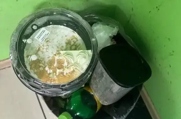 Добрый хвост, ветеринарная клиника