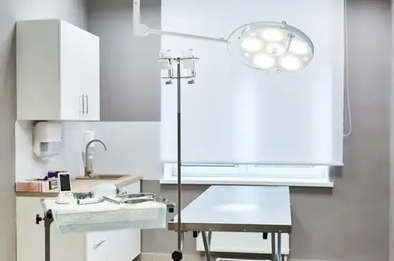 Клиника Кошек, ветеринарная клиника для кошек