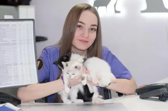 Айболит, ветеринарная клиника