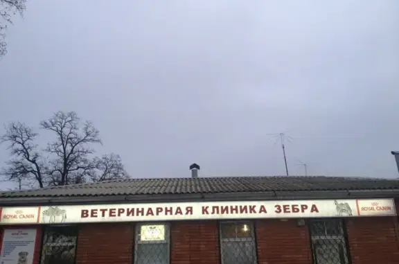 Зебра, ветеринарный центр