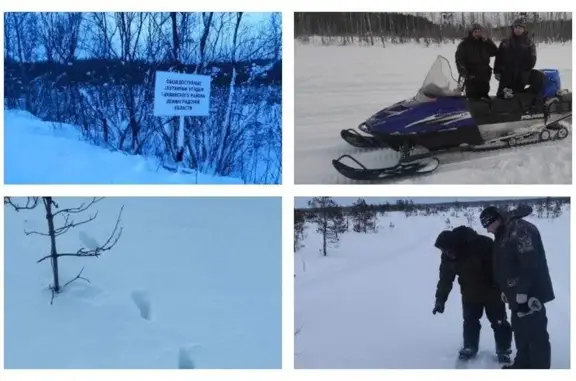 Станция по борьбе с болезнями животных Тихвинского и Бокситогорского районов