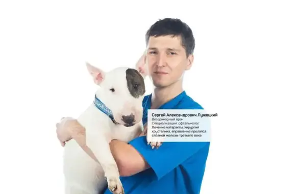 Ветеринарная клиника доктора Сотникова