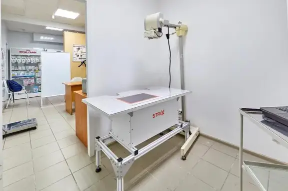 Ветеринарная клиника Неовет в Свердловском районе