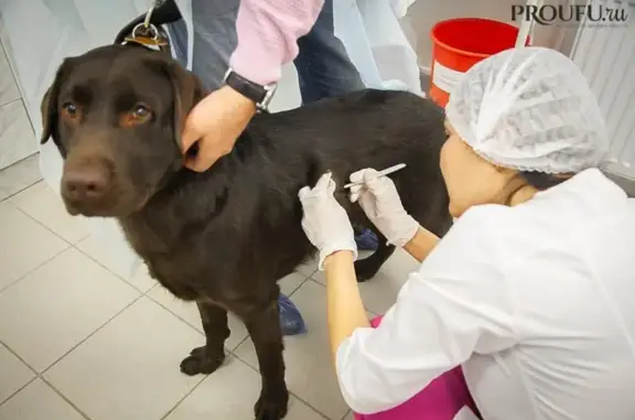 Уфимская городская ветеринарная станция республики Башкортостан, головной офис