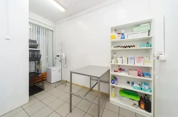 Берта, ветеринарная клиника