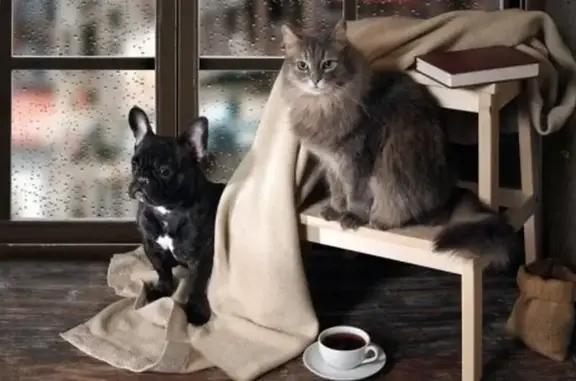 Оазис, ветеринарный центр