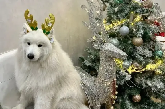 Ветеринарная клиника В Добрые Руки на Профсоюзной улице