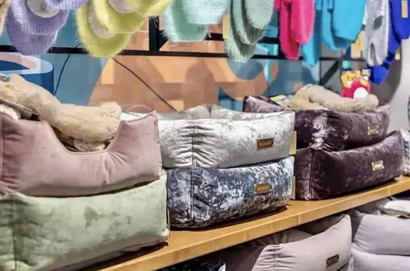 Зоосалон BoolDog в Красногвардейском районе