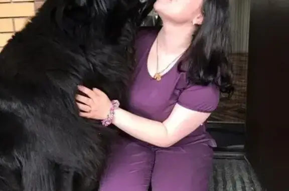 ТигридаВет